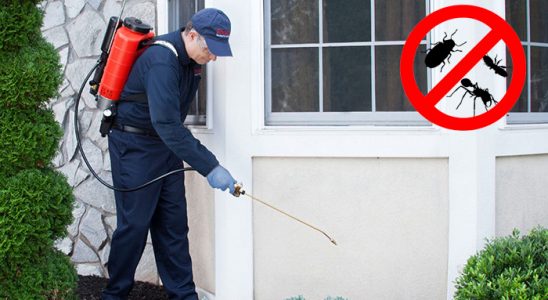 Evciler Karınca İlaçlama böcek ilaçlama ve haşere kontrolü — ilaclama-tr.com